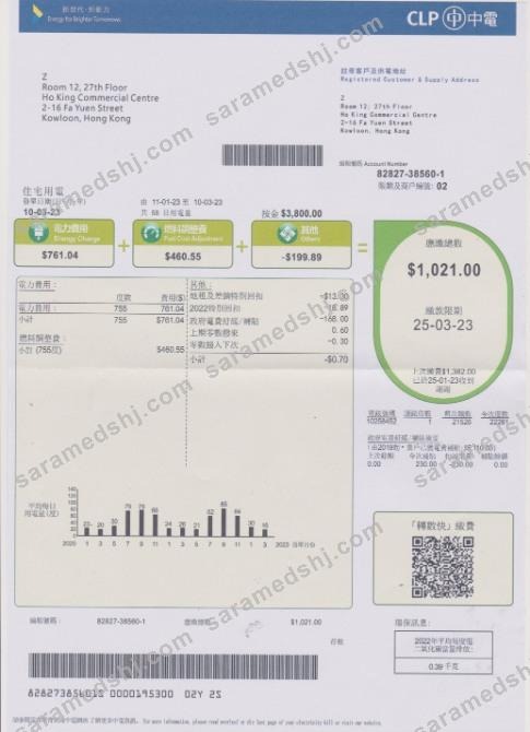 Hong Kong CLP power utility bill in PSD format
